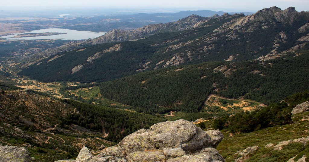 cabra_montesa_najarra_dagacopo.es